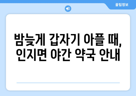 충청남도 서산시 인지면 24시간 토요일 일요일 휴일 공휴일 야간 약국