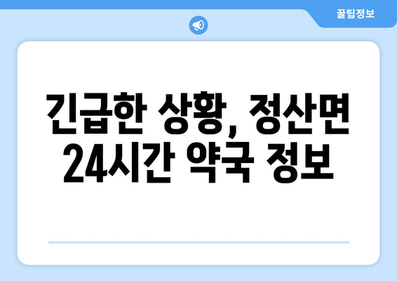 충청남도 청양군 정산면 24시간 토요일 일요일 휴일 공휴일 야간 약국