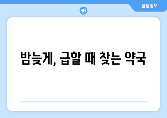 충청남도 계룡시 금암동 24시간 토요일 일요일 휴일 공휴일 야간 약국