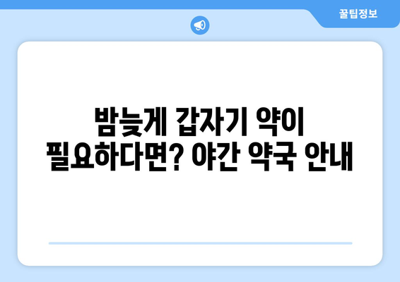 인천시 부평구 갈산2동 24시간 토요일 일요일 휴일 공휴일 야간 약국