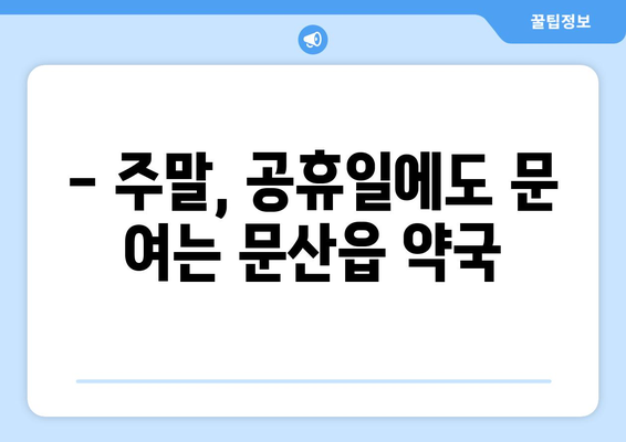 경기도 파주시 문산읍 24시간 토요일 일요일 휴일 공휴일 야간 약국