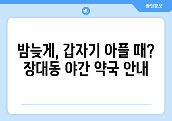 대전시 유성구 장대동 24시간 토요일 일요일 휴일 공휴일 야간 약국