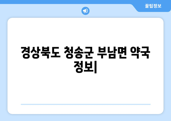 경상북도 청송군 부남면 24시간 토요일 일요일 휴일 공휴일 야간 약국