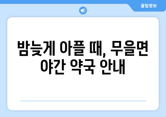 경상북도 구미시 무을면 24시간 토요일 일요일 휴일 공휴일 야간 약국