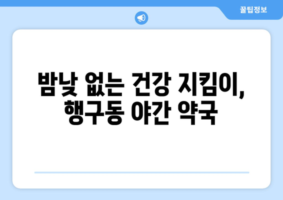 강원도 원주시 행구동 24시간 토요일 일요일 휴일 공휴일 야간 약국