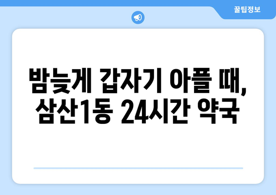 인천시 부평구 삼산1동 24시간 토요일 일요일 휴일 공휴일 야간 약국