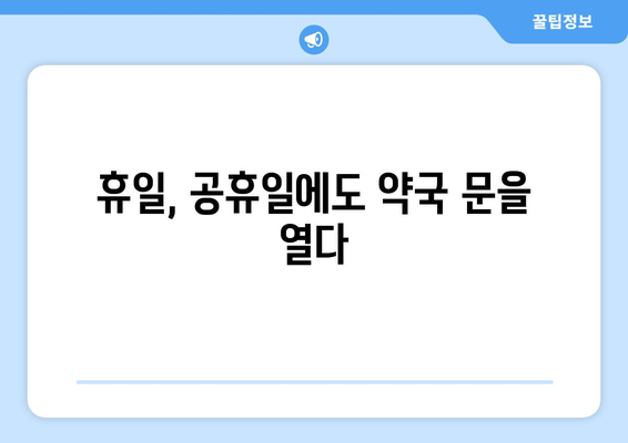 인천시 부평구 일신동 24시간 토요일 일요일 휴일 공휴일 야간 약국