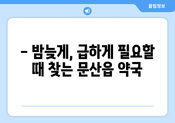 경기도 파주시 문산읍 24시간 토요일 일요일 휴일 공휴일 야간 약국