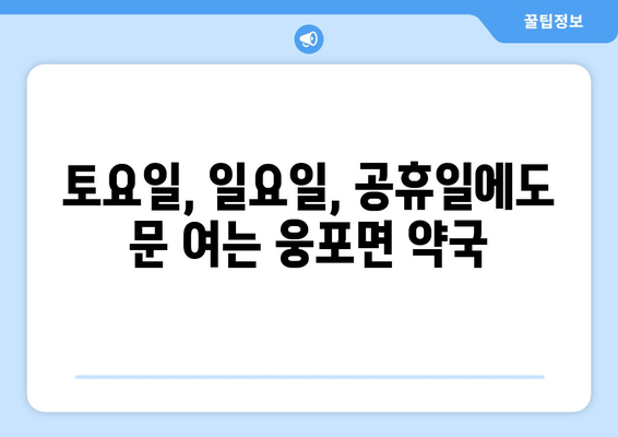 전라북도 익산시 웅포면 24시간 토요일 일요일 휴일 공휴일 야간 약국