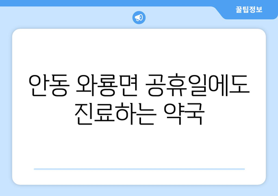 경상북도 안동시 와룡면 24시간 토요일 일요일 휴일 공휴일 야간 약국