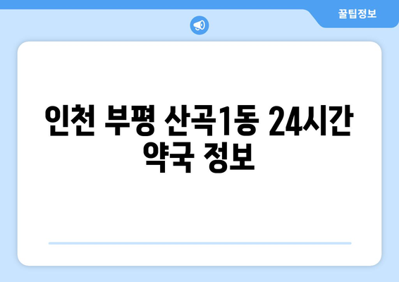 인천시 부평구 산곡1동 24시간 토요일 일요일 휴일 공휴일 야간 약국