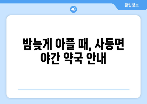 경상남도 거제시 사등면 24시간 토요일 일요일 휴일 공휴일 야간 약국