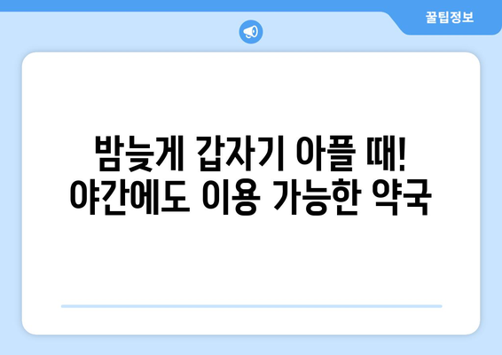 서울시 은평구 갈현제1동 24시간 토요일 일요일 휴일 공휴일 야간 약국