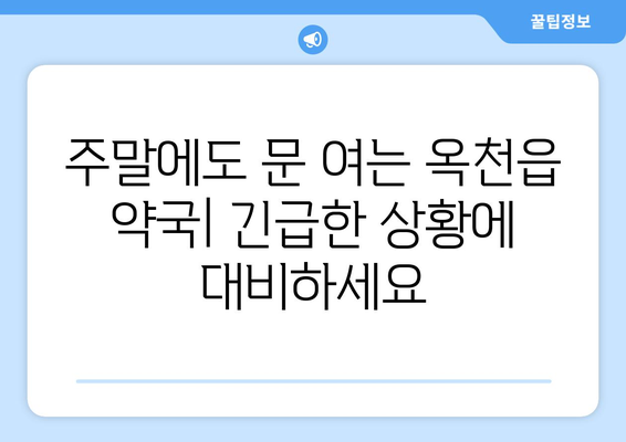 충청북도 옥천군 옥천읍 24시간 토요일 일요일 휴일 공휴일 야간 약국