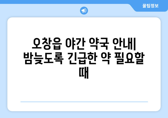 충청북도 청주시 청원구 오창읍 24시간 토요일 일요일 휴일 공휴일 야간 약국