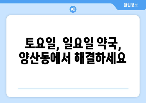 광주시 북구 양산동 24시간 토요일 일요일 휴일 공휴일 야간 약국