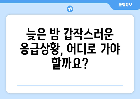 충청북도 진천군 덕산면 24시간 토요일 일요일 휴일 공휴일 야간 약국