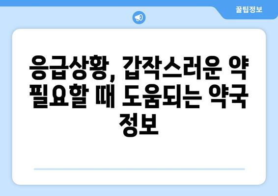 전라북도 임실군 지사면 24시간 토요일 일요일 휴일 공휴일 야간 약국