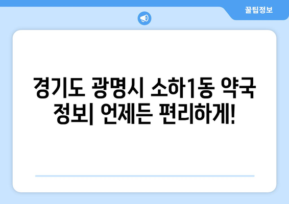 경기도 광명시 소하1동 24시간 토요일 일요일 휴일 공휴일 야간 약국