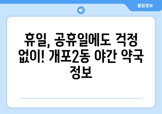 서울시 강남구 개포2동 24시간 토요일 일요일 휴일 공휴일 야간 약국