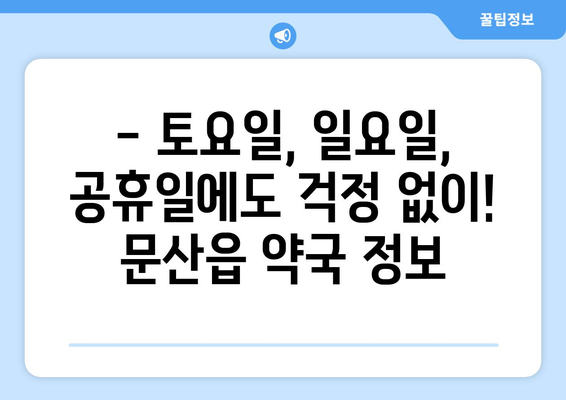 경기도 파주시 문산읍 24시간 토요일 일요일 휴일 공휴일 야간 약국