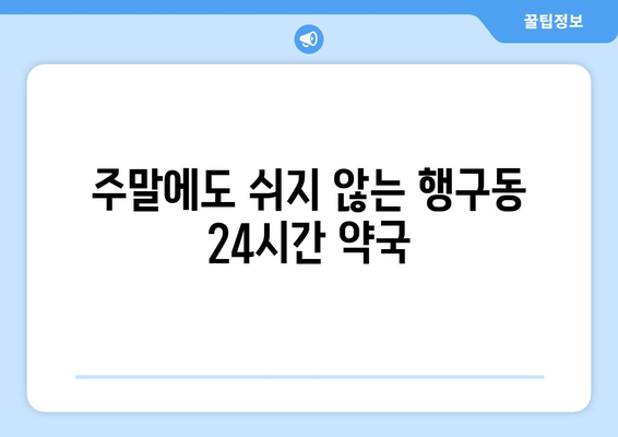 강원도 원주시 행구동 24시간 토요일 일요일 휴일 공휴일 야간 약국