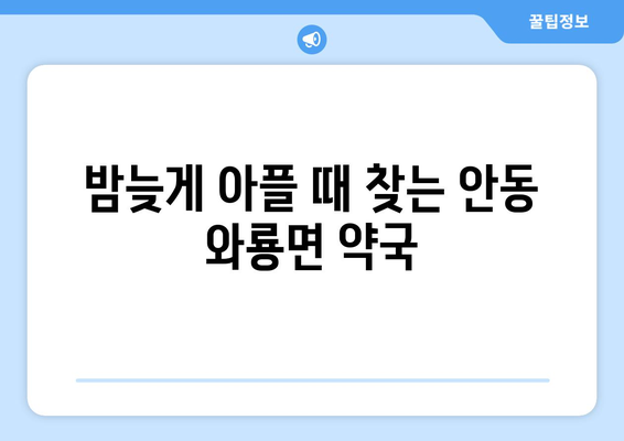 경상북도 안동시 와룡면 24시간 토요일 일요일 휴일 공휴일 야간 약국