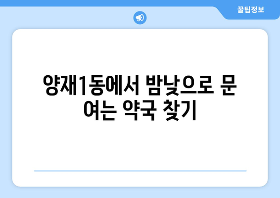 서울시 서초구 양재1동 24시간 토요일 일요일 휴일 공휴일 야간 약국