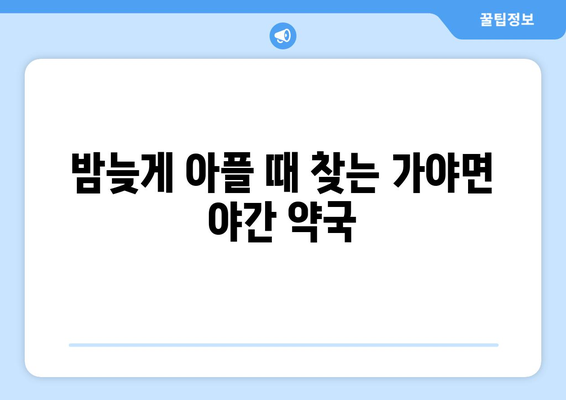 경상남도 합천군 가야면 24시간 토요일 일요일 휴일 공휴일 야간 약국