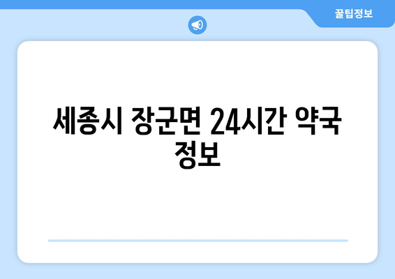 세종시 세종특별자치시 장군면 24시간 토요일 일요일 휴일 공휴일 야간 약국