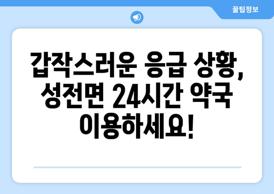 전라남도 강진군 성전면 24시간 토요일 일요일 휴일 공휴일 야간 약국