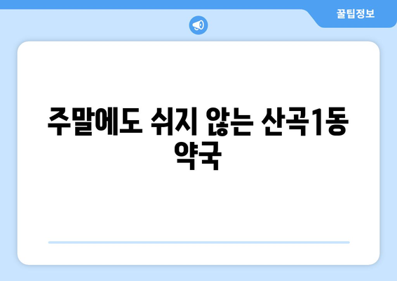 인천시 부평구 산곡1동 24시간 토요일 일요일 휴일 공휴일 야간 약국