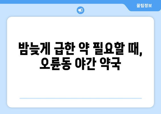 서울시 송파구 오륜동 24시간 토요일 일요일 휴일 공휴일 야간 약국