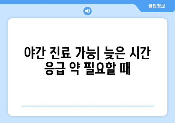 충청남도 태안군 근흥면 24시간 토요일 일요일 휴일 공휴일 야간 약국