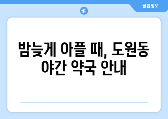 인천시 중구 도원동 24시간 토요일 일요일 휴일 공휴일 야간 약국