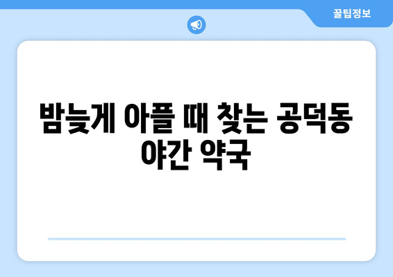 서울시 마포구 공덕동 24시간 토요일 일요일 휴일 공휴일 야간 약국