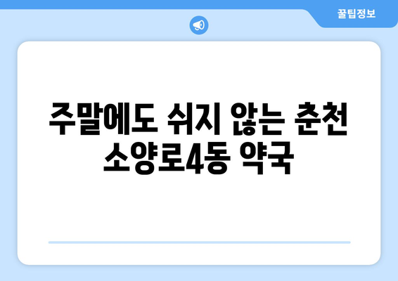 강원도 춘천시 소양로4동 24시간 토요일 일요일 휴일 공휴일 야간 약국