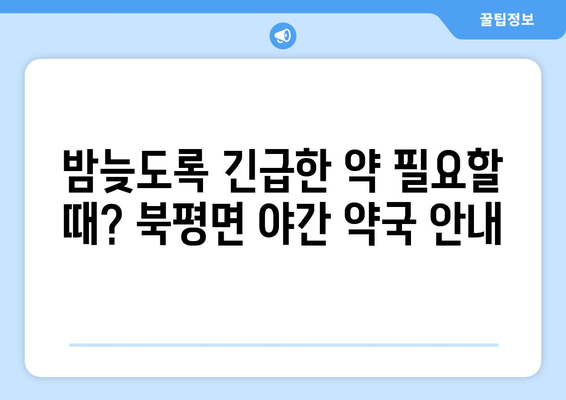 전라남도 해남군 북평면 24시간 토요일 일요일 휴일 공휴일 야간 약국