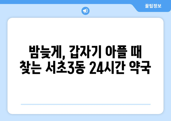 서울시 서초구 서초3동 24시간 토요일 일요일 휴일 공휴일 야간 약국