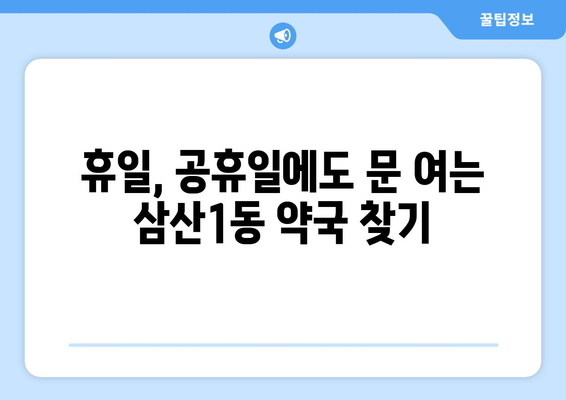 인천시 부평구 삼산1동 24시간 토요일 일요일 휴일 공휴일 야간 약국