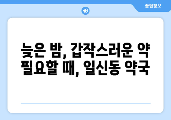 인천시 부평구 일신동 24시간 토요일 일요일 휴일 공휴일 야간 약국