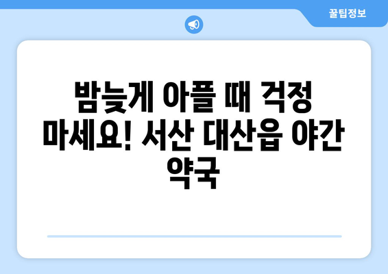 충청남도 서산시 대산읍 24시간 토요일 일요일 휴일 공휴일 야간 약국