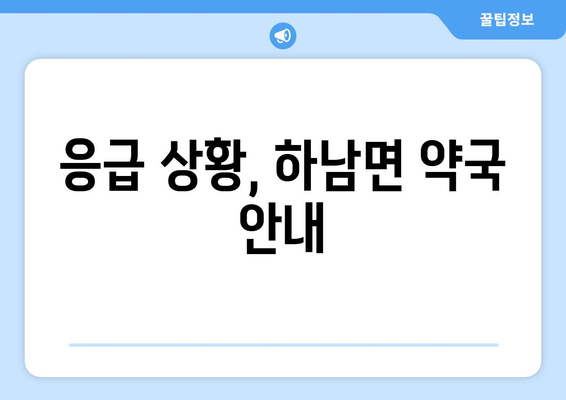 강원도 화천군 하남면 24시간 토요일 일요일 휴일 공휴일 야간 약국