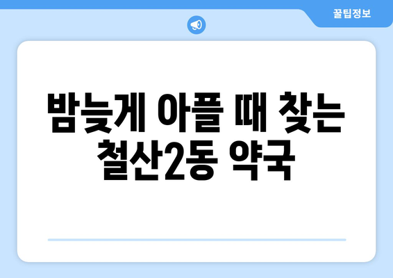 경기도 광명시 철산2동 24시간 토요일 일요일 휴일 공휴일 야간 약국