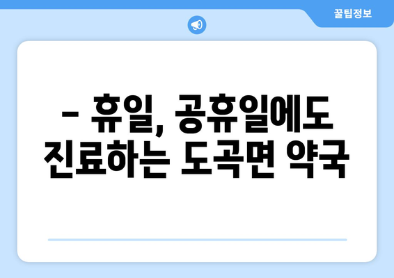 전라남도 화순군 도곡면 24시간 토요일 일요일 휴일 공휴일 야간 약국