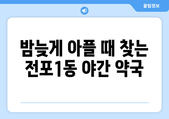 부산시 부산진구 전포1동 24시간 토요일 일요일 휴일 공휴일 야간 약국