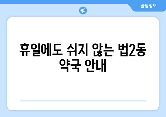 대전시 대덕구 법2동 24시간 토요일 일요일 휴일 공휴일 야간 약국