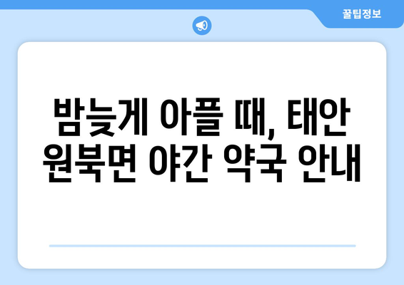 충청남도 태안군 원북면 24시간 토요일 일요일 휴일 공휴일 야간 약국