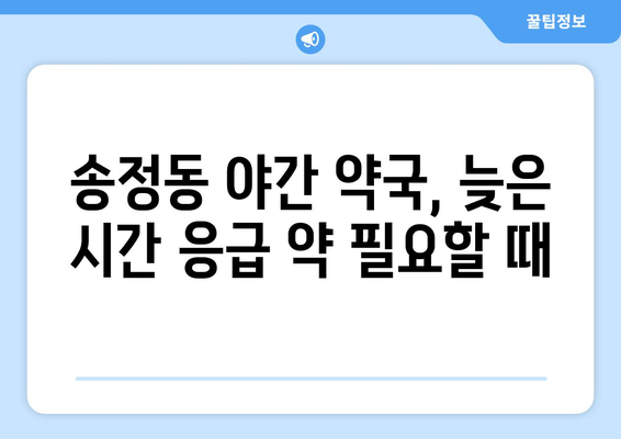 충청북도 청주시 흥덕구 송정동 24시간 토요일 일요일 휴일 공휴일 야간 약국