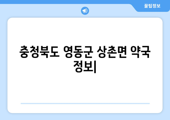 충청북도 영동군 상촌면 24시간 토요일 일요일 휴일 공휴일 야간 약국